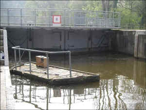 cookha7.jpg (41262 bytes)