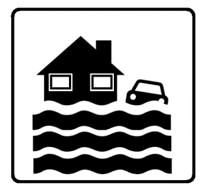 C:\Users\Ewan\Documents\Election 2019\nfpp emblem final gif less NFPP.gif