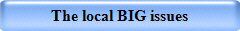 The local BIG issues