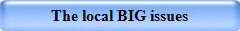 The local BIG issues